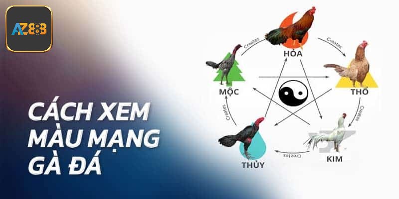 Xác định dựa vào ngũ hành